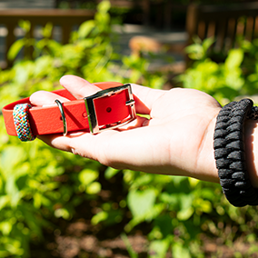 GODDOG négyszínű póráz