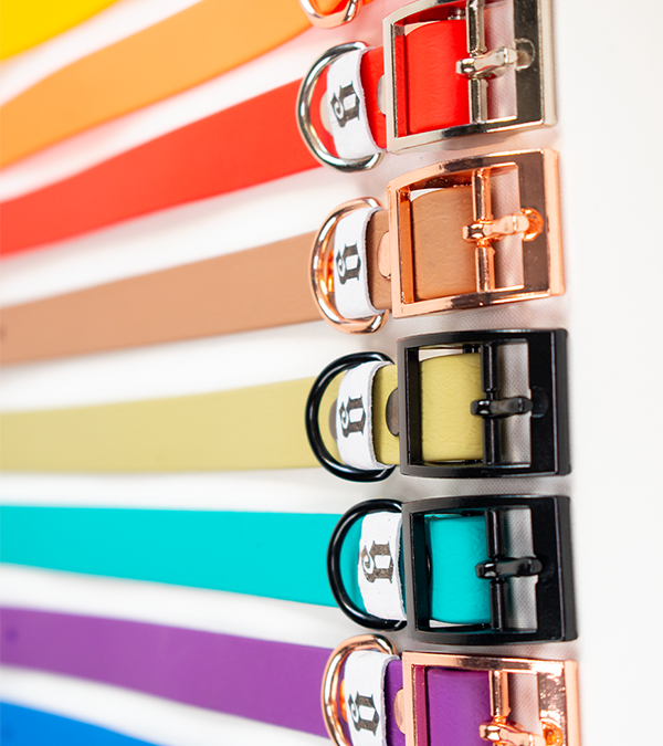 GODDOG heveder nyakörvek - Válassz színt és kiegészítőt!