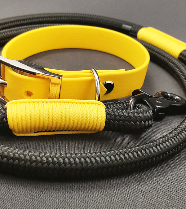 GODDOG fekete-sárga nyakörv és póráz szett